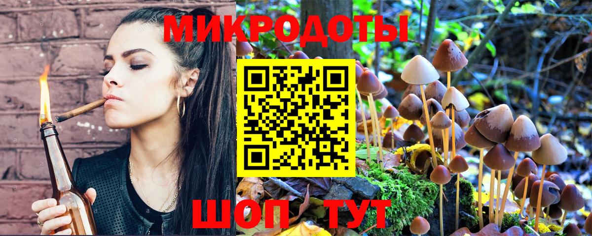 Псилоцибиновые грибы Psilocybe Крымск