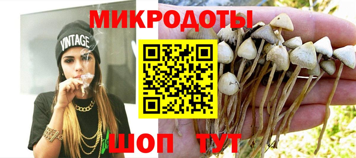 Галлюциногенные грибы Psilocybe  Вход с VPN  Крымск 